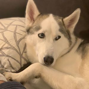 Poshmark increasing shipping rates TOMORROW!